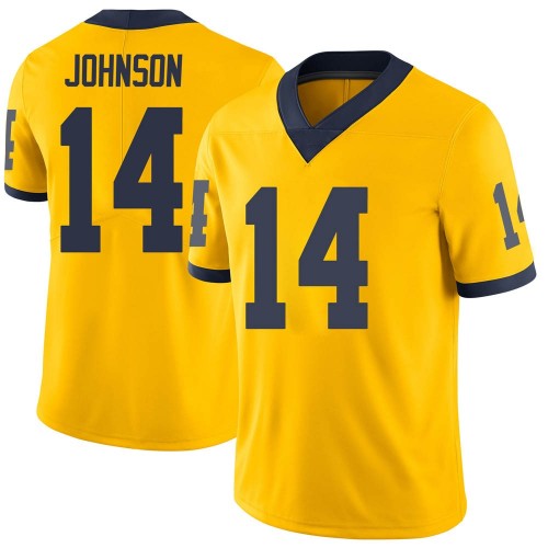 Quinten Johnson Michigan Wolverines Youth NCAA #14 Maize Limited Brand Jordan College Stitched Football Jersey GYX0454LE